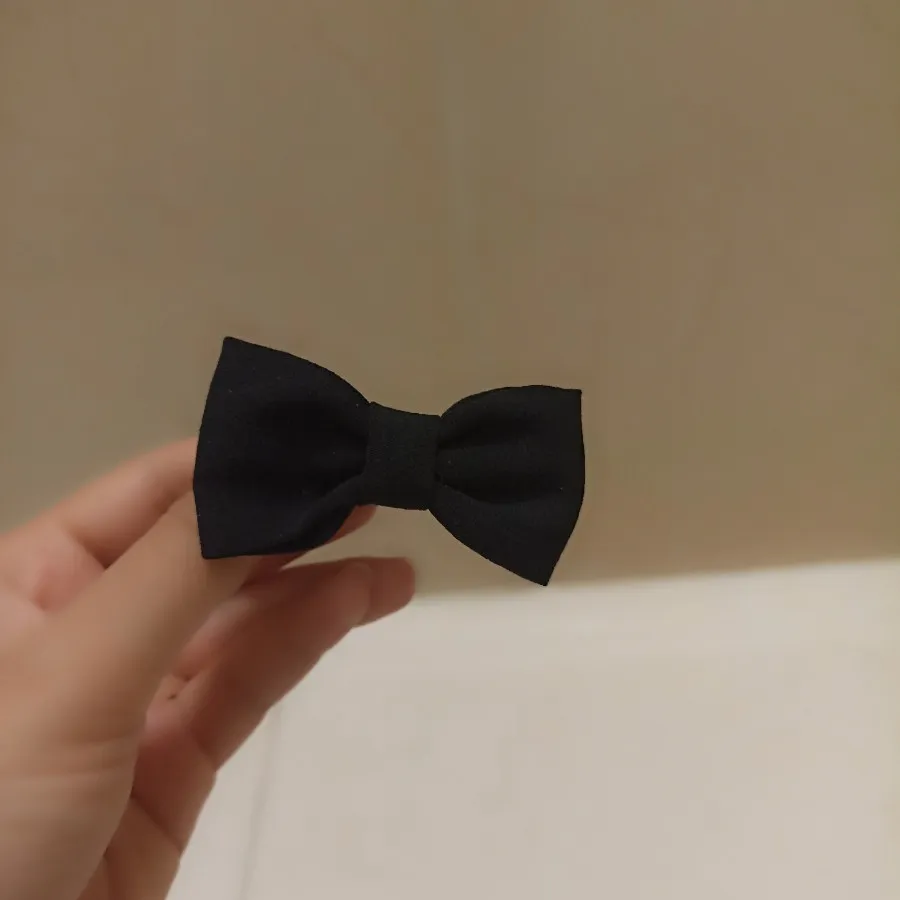 گیره پاپیونی کوچک