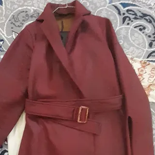 پالتو