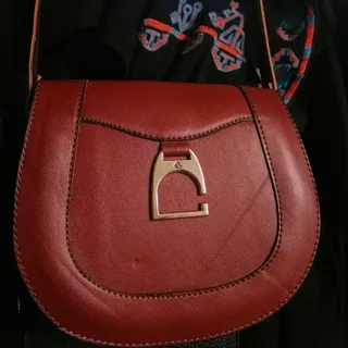 کیف دوشی مجلسی