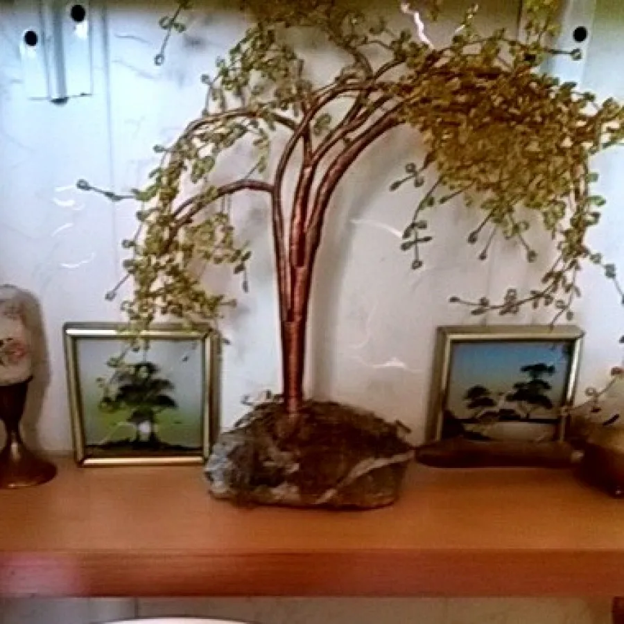 درختچه منجوق وسیمی