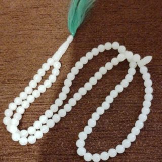 تسبیح شب نما