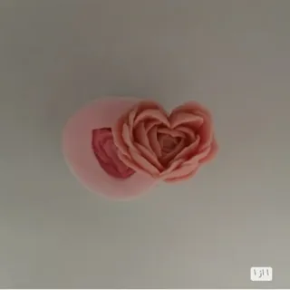 قالب سیلیکونی