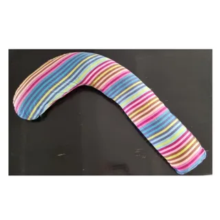 بالشت بارداری