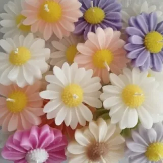 شمع بابونه رنگی عمده