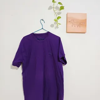 تیشرت