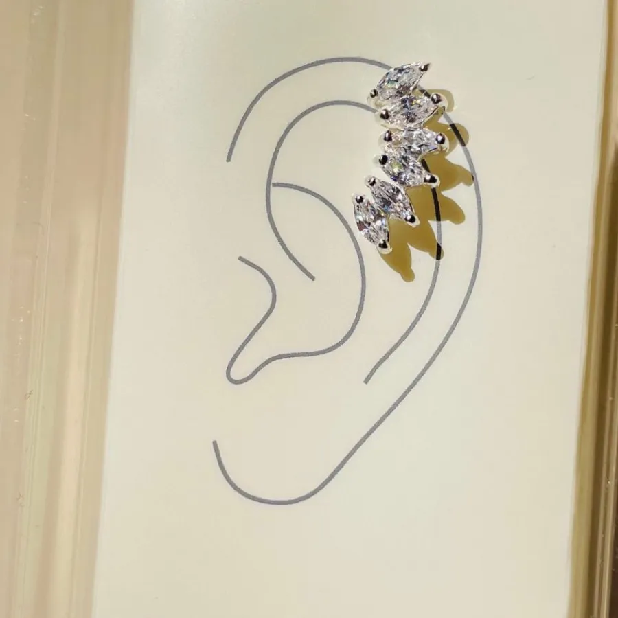 ایرکاف وحلقه گوش نقره iam