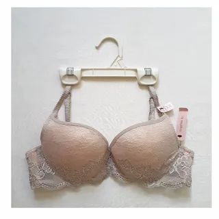 نیم تنه دانتل آمریکایی