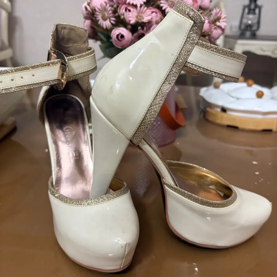 کیف و کفش ست مجلسی