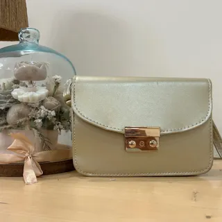 کیف مجلسی طلایی بژ