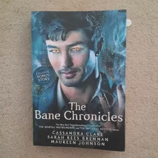 وقایع نگاری مگنس بین