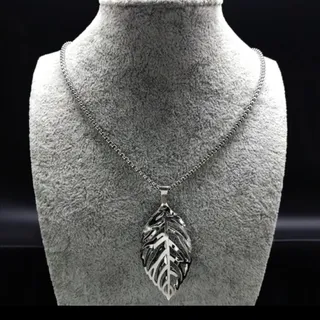 پلاک و زنجیر