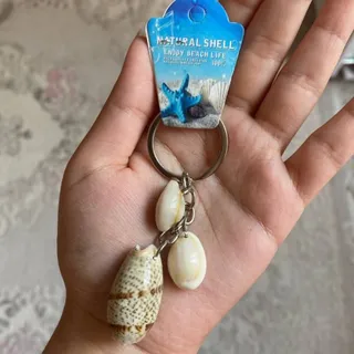 جا کلیدی سرسوییچی