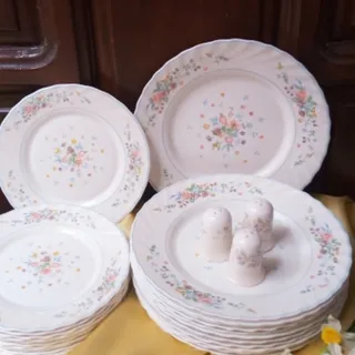 بشقاب آرکوپال ویکتوریا