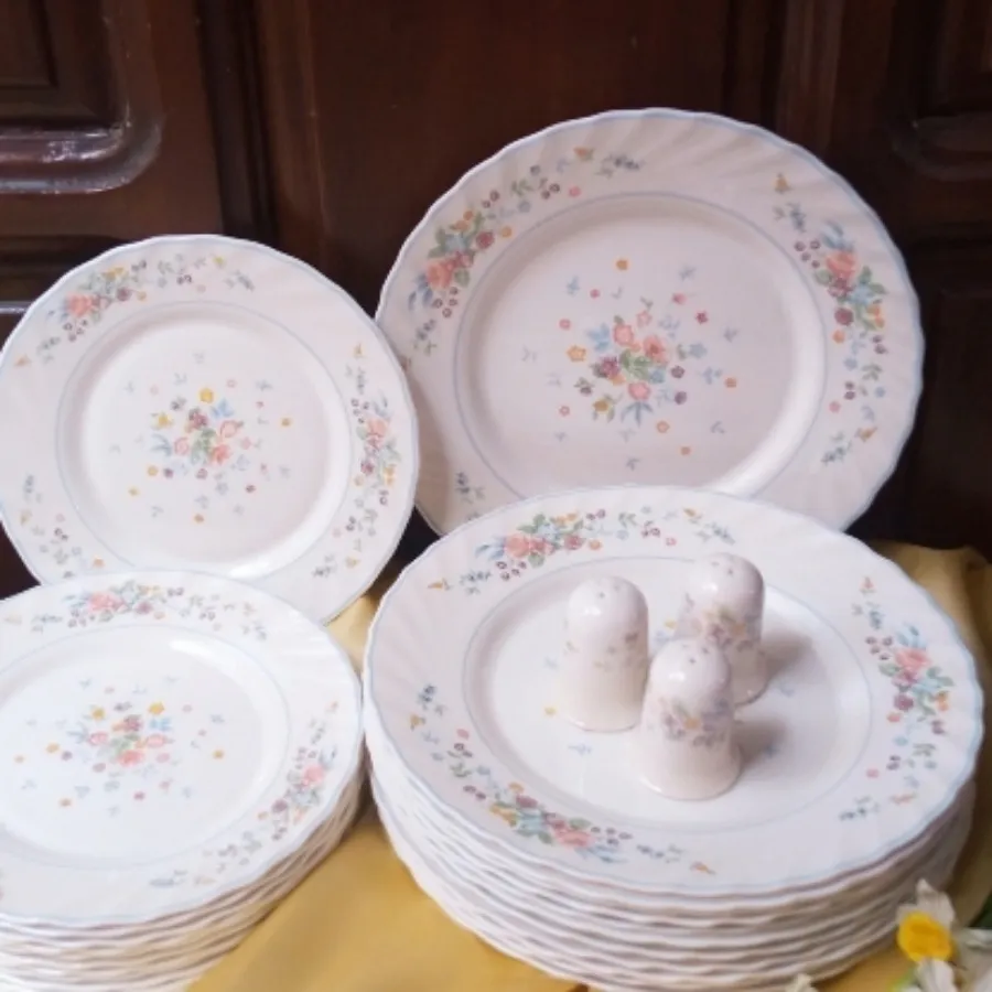 بشقاب آرکوپال ویکتوریا