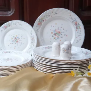 بشقاب آرکوپال ویکتوریا