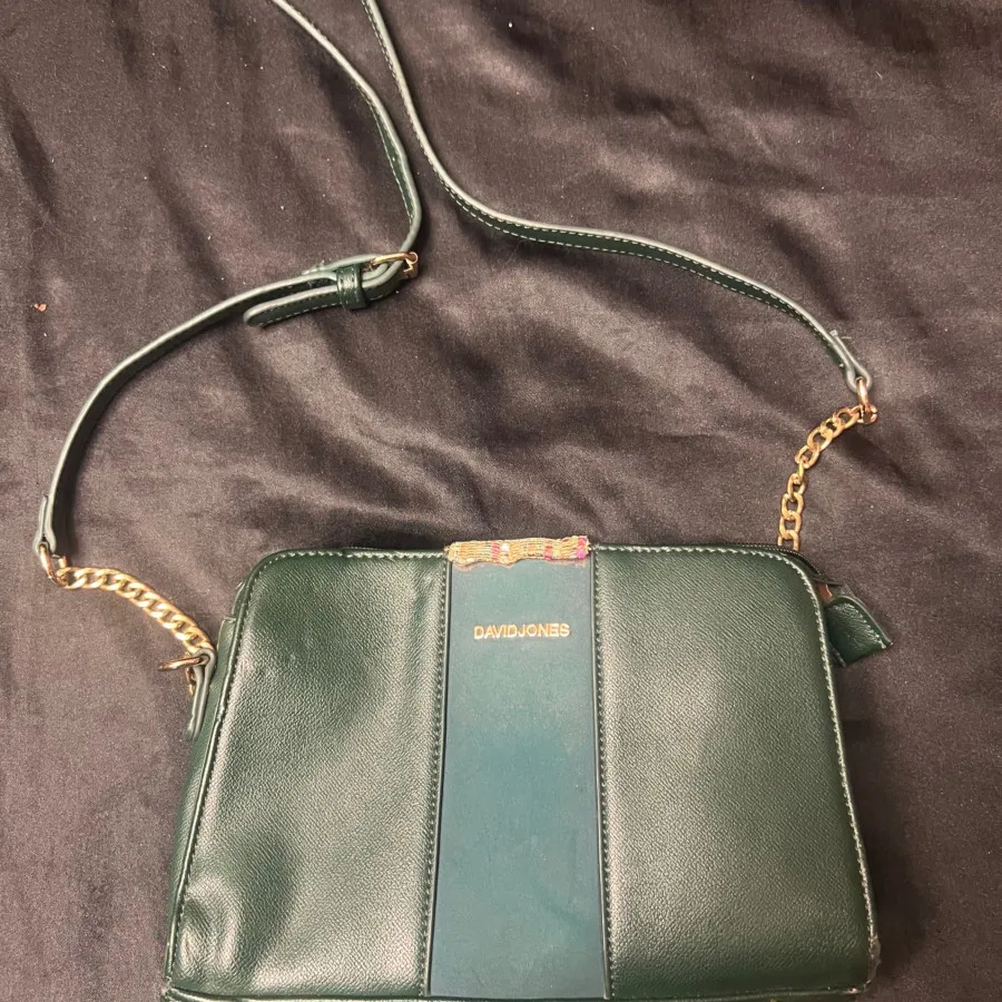 کیف دیودجونز اصی