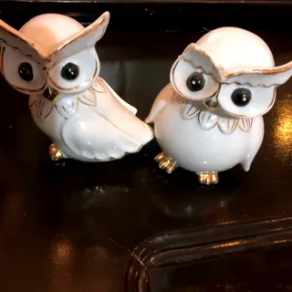 جغد