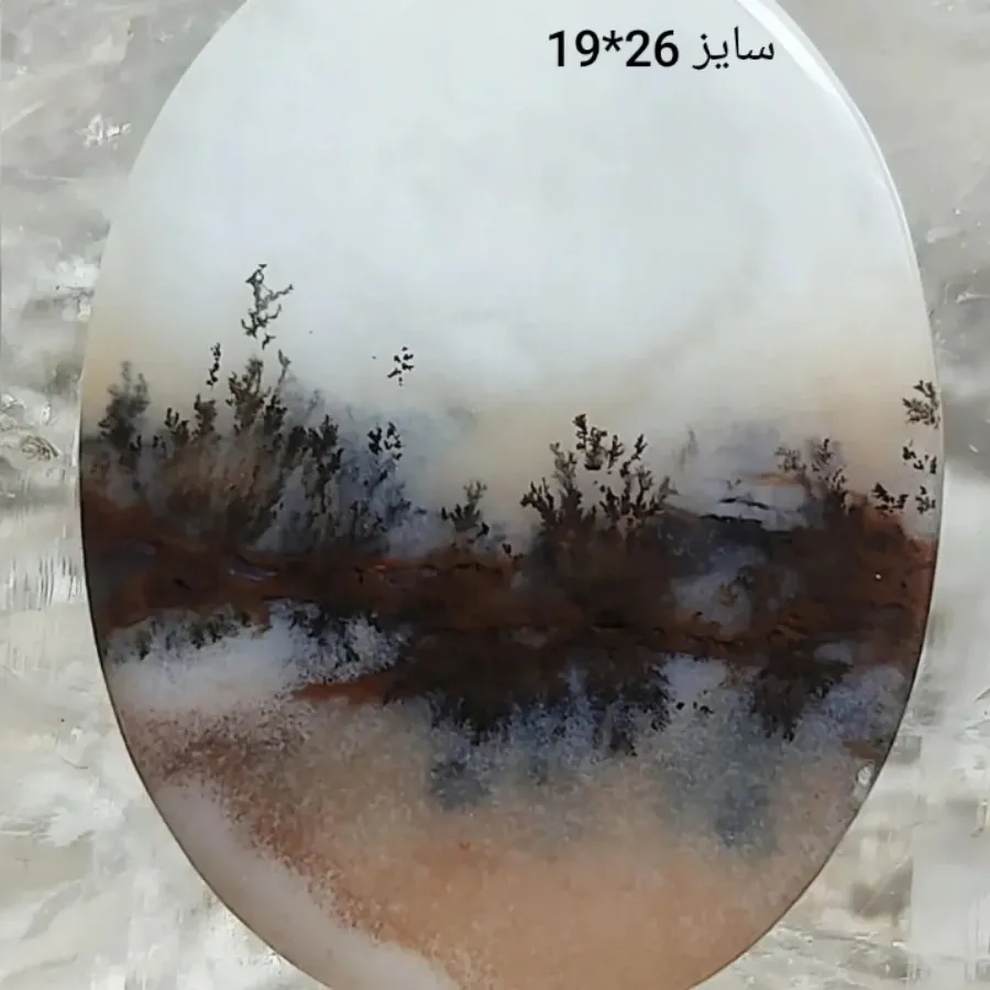 شجر طبیعی برکه