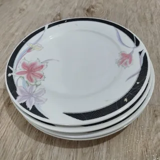 دیس غذاخوری