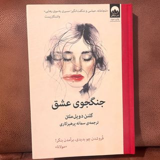 جنگجوی عشق