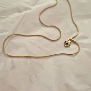 زنجیر ماری طلایی