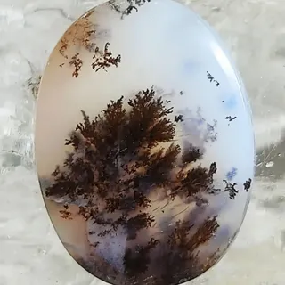 تک درختی در طوفان