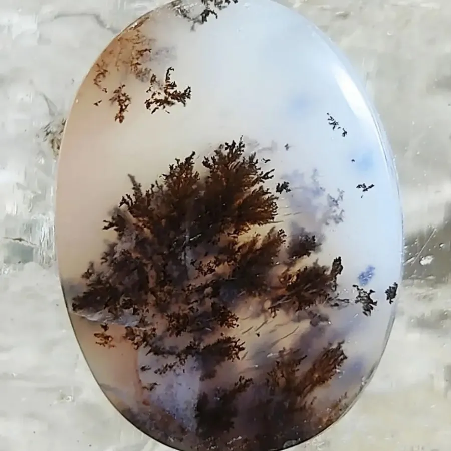 تک درختی در طوفان