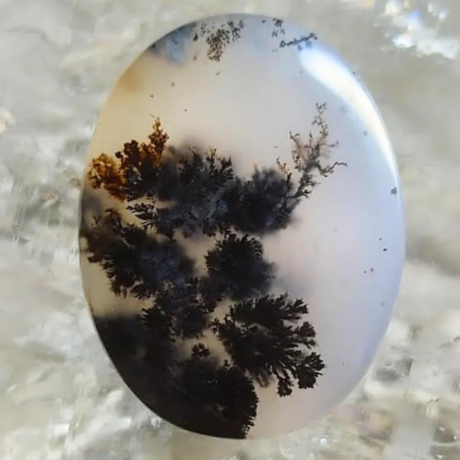 جنگلی در دل سنگ