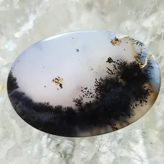 سنگ یا گوشه یی از طبیعت