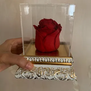 رز همیشه جاودان