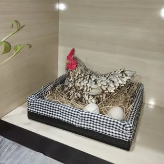 دکوری مرغ خانگی