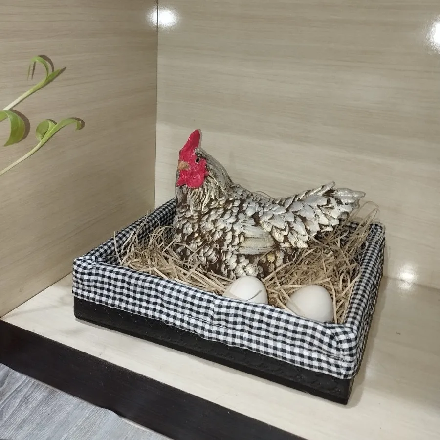 دکوری مرغ خانگی
