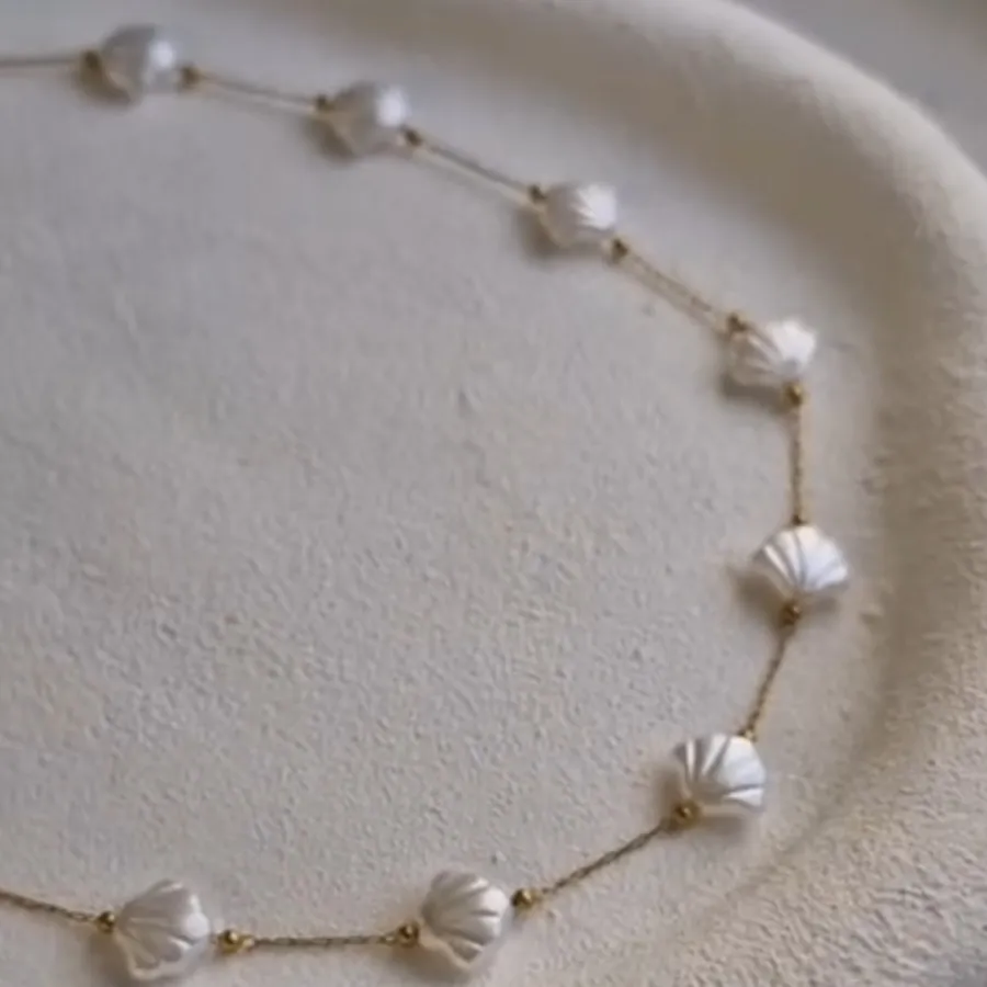 زنجیر استیل صدفی