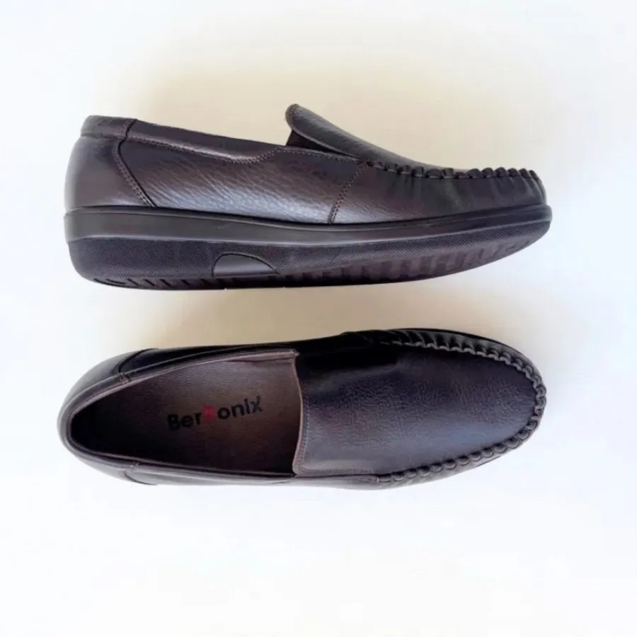 کالج برتونیکس