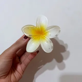 کلیپس پلیمبر