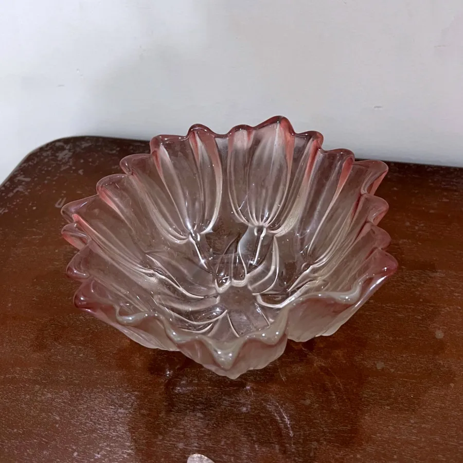 شکلات خوری والتر سیلویا