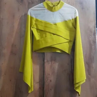 نیم تنه مجلسی