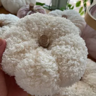 کدو تدی پاییزی