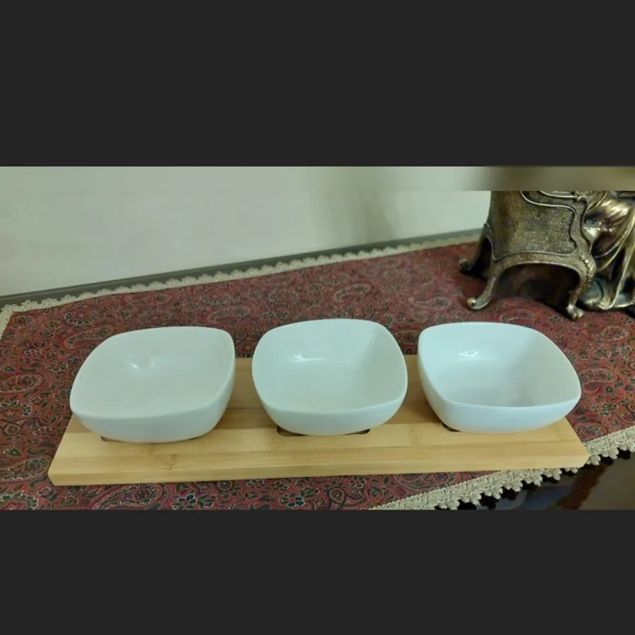 ظرف سرو غذا