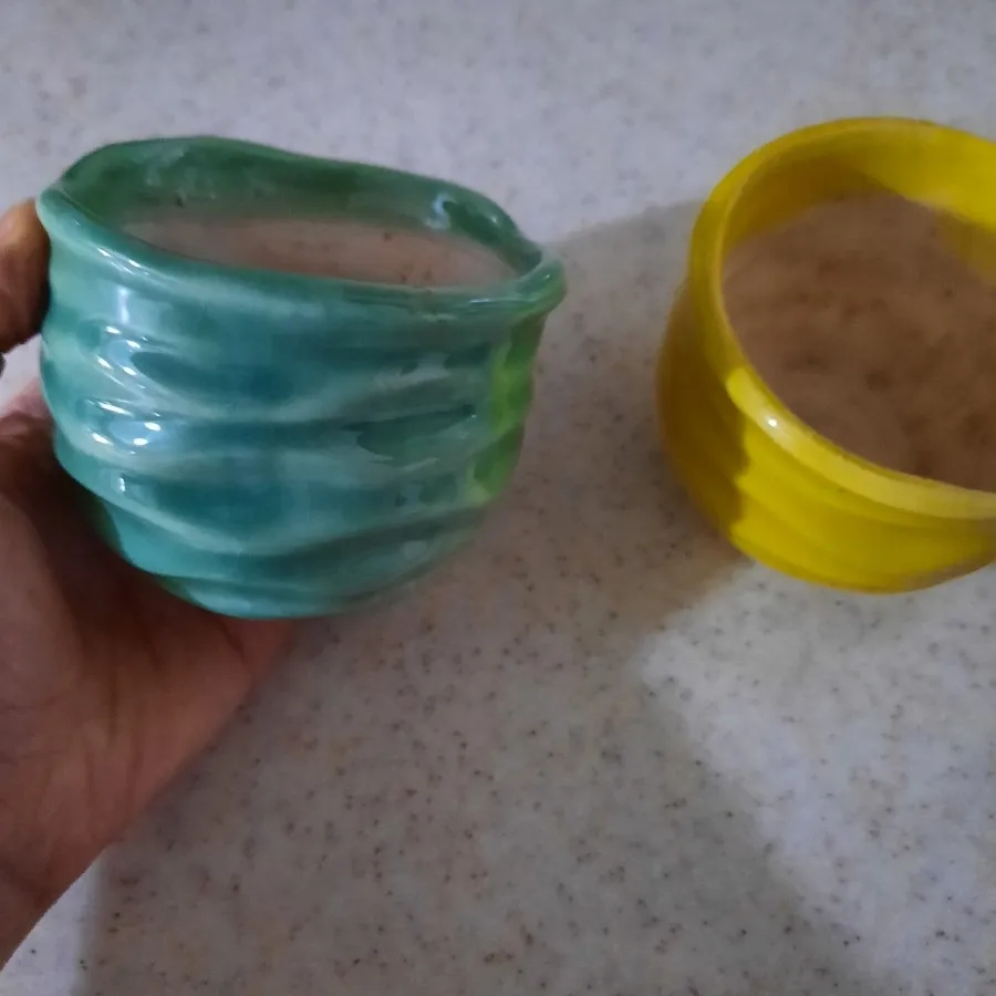 گلدان کاکتوس