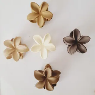 کلیپس کوچک گل پلومریا