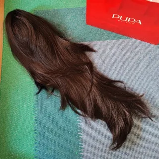 دم اسب کلیپسی