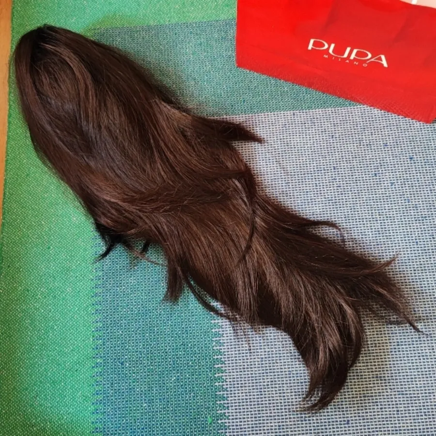 دم اسب کلیپسی