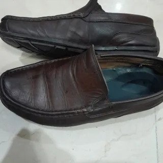 کالج مردانه ecco