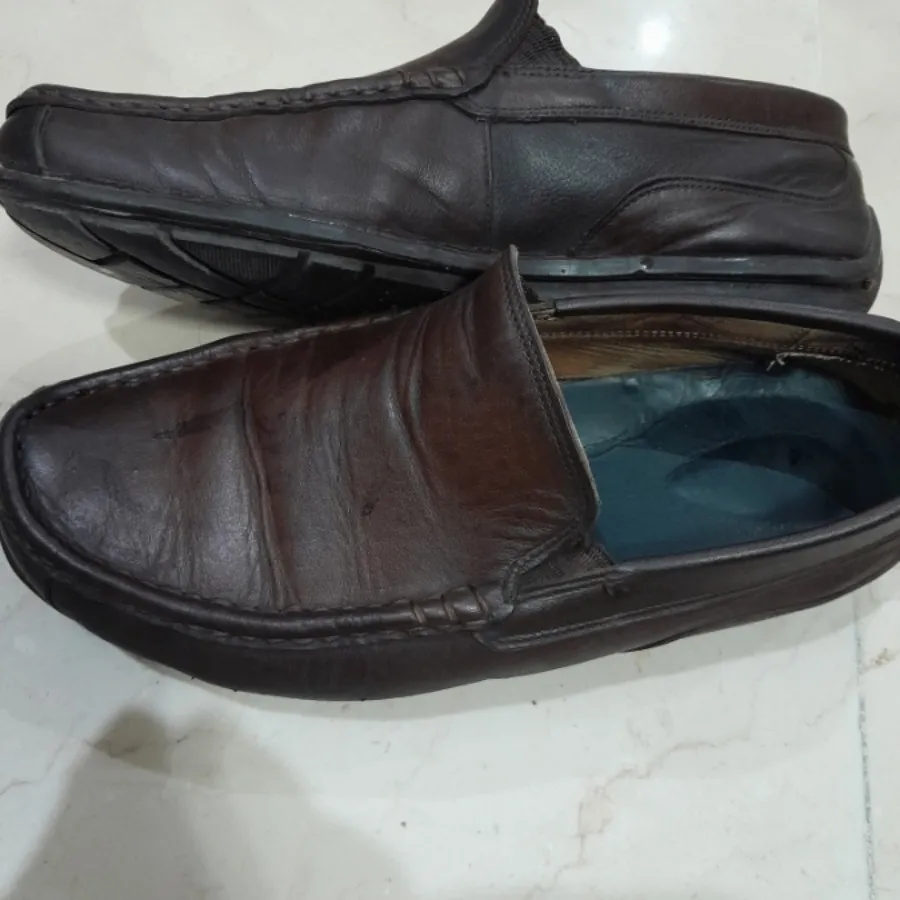 کالج مردانه ecco