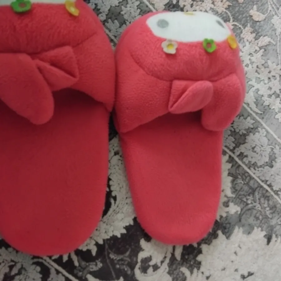 دمپایی رو فرشی