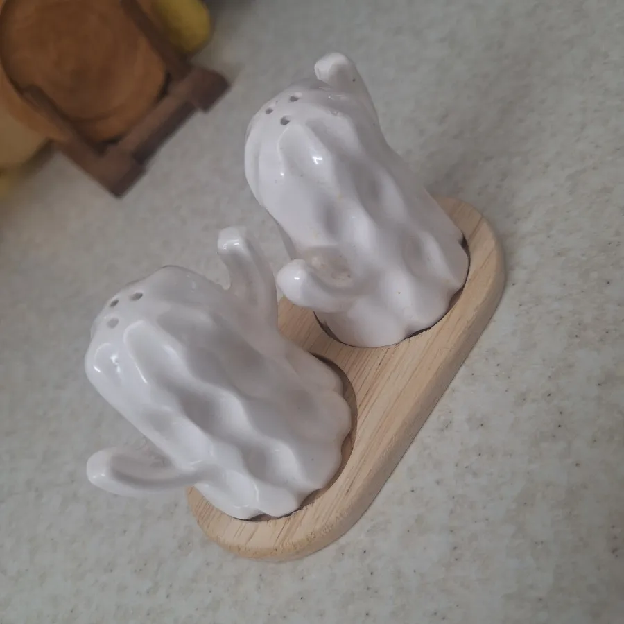 نمک پاش کاکتوس