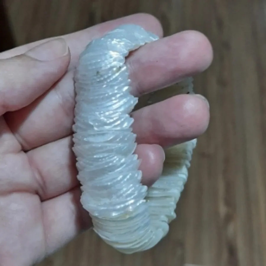 دستبند صدف طبیعی