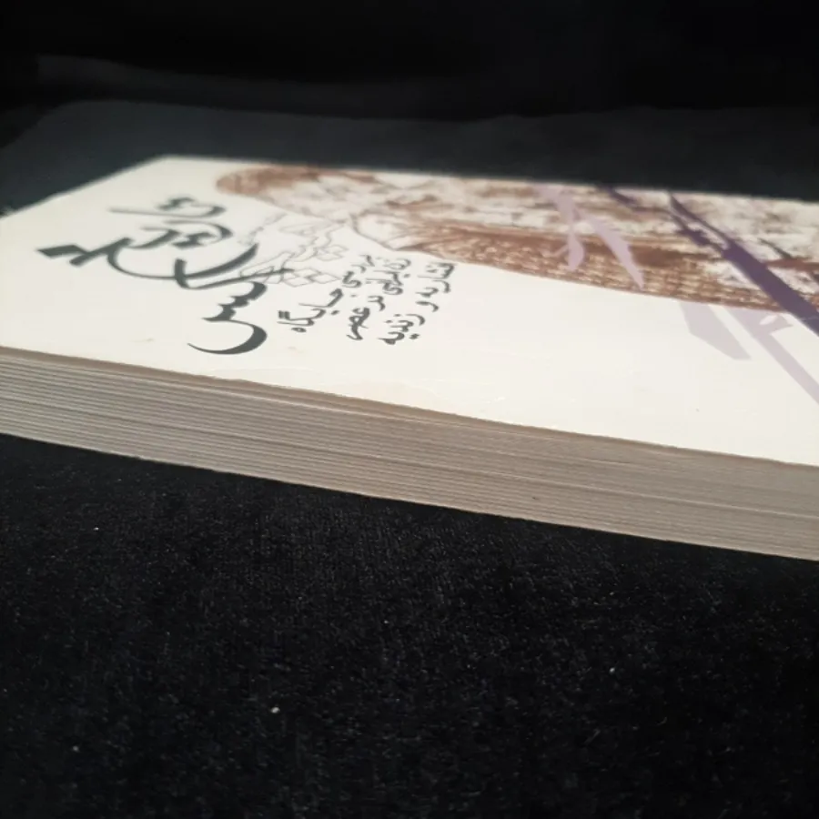 کتاب(تاریخ هیچکس)