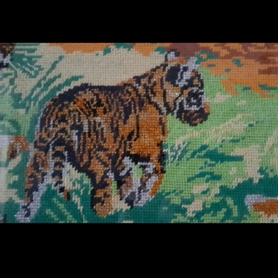 کوبلن غروب بیشه